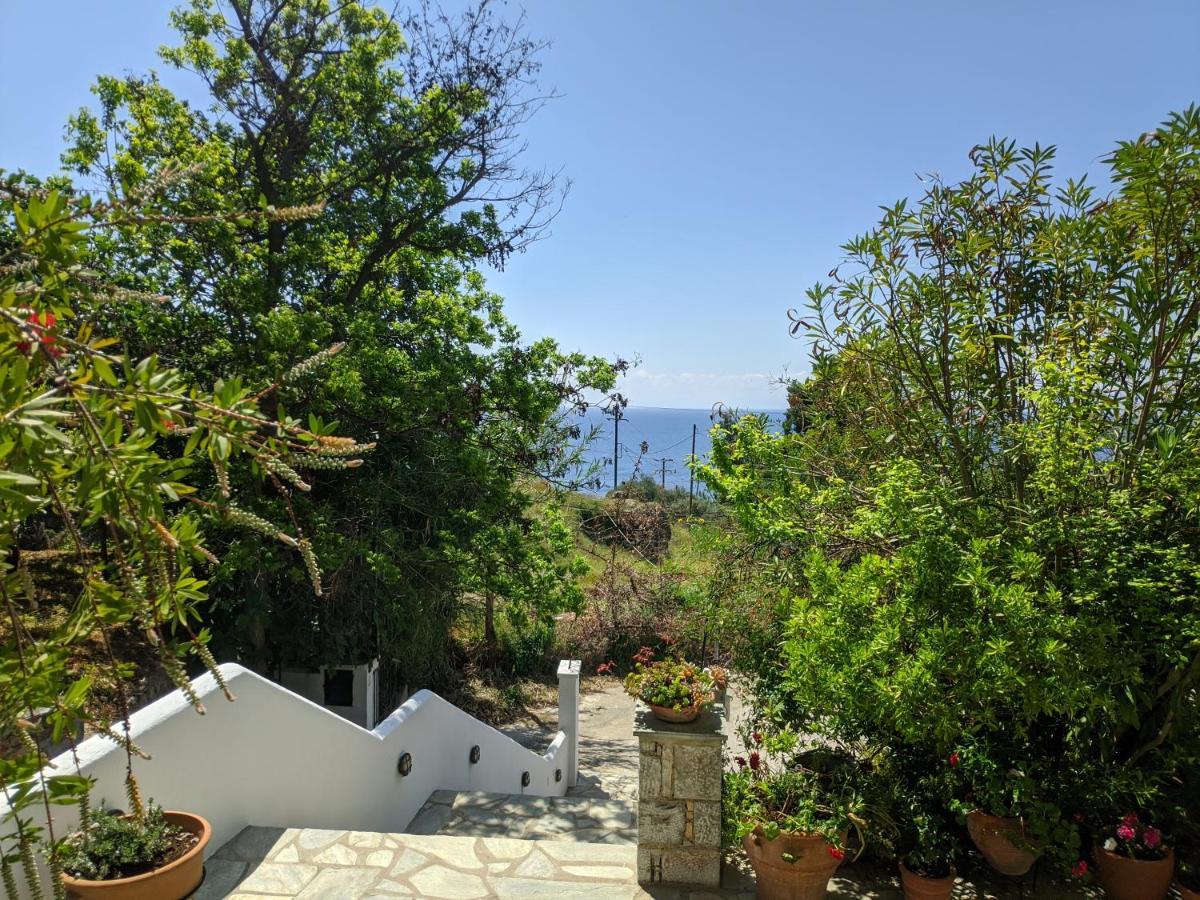 Oikia Guesthouse Stafylos Exteriér fotografie